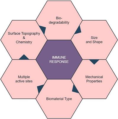 Material matters: exploring the interplay between natural biomaterials and host immune system